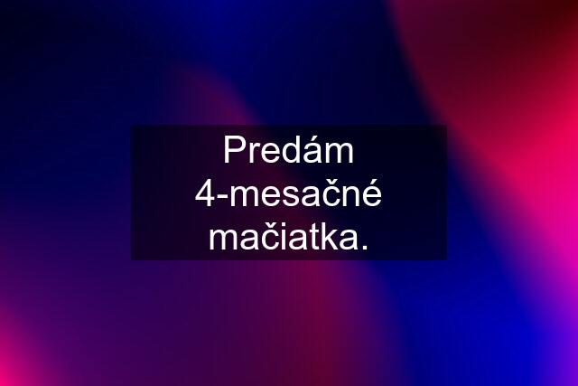 Predám 4-mesačné mačiatka.