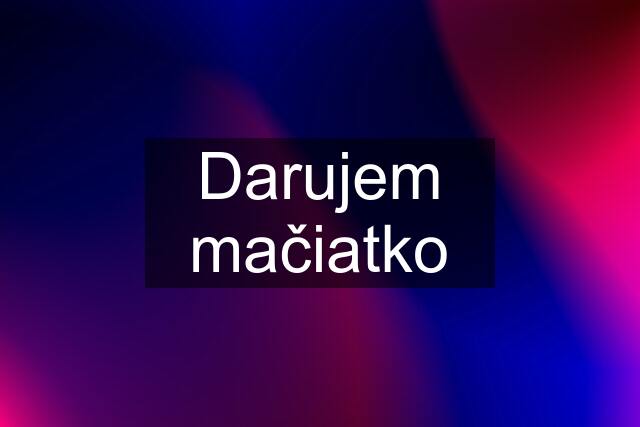 Darujem mačiatko