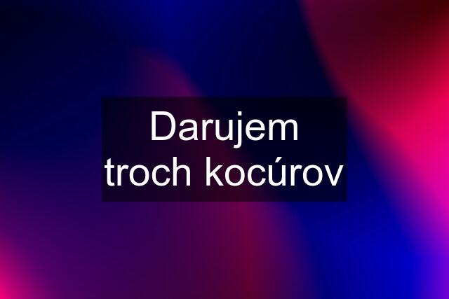 Darujem troch kocúrov