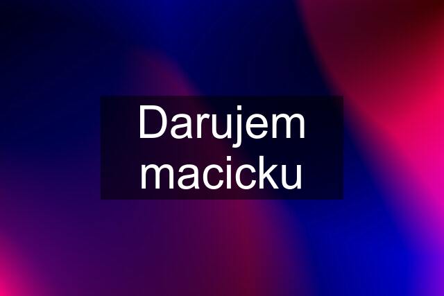 Darujem macicku