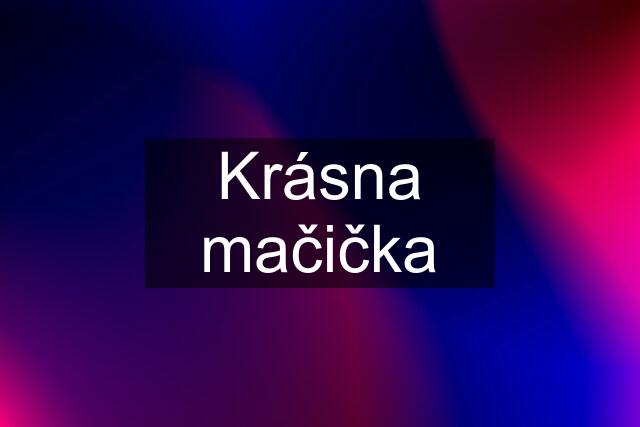 Krásna mačička