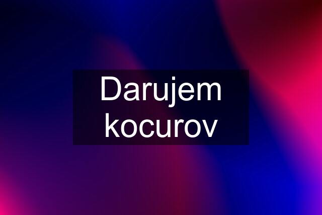 Darujem kocurov