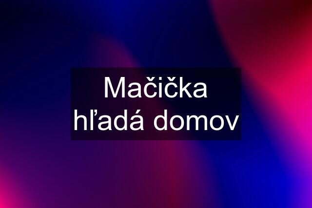 Mačička hľadá domov