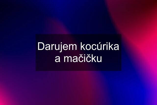 Darujem kocúrika a mačičku