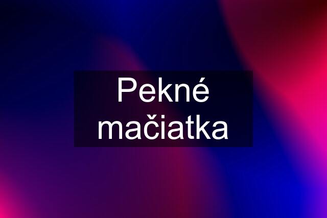 Pekné mačiatka