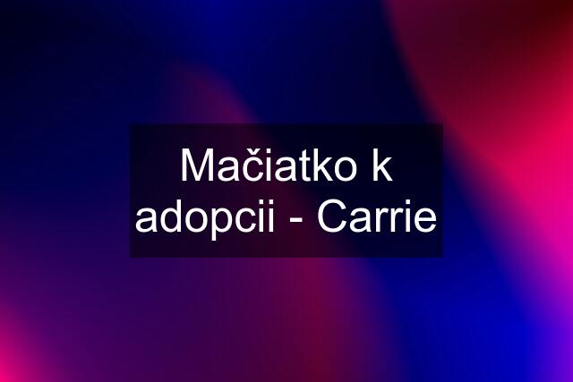 Mačiatko k adopcii - Carrie