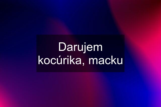 Darujem kocúrika, macku