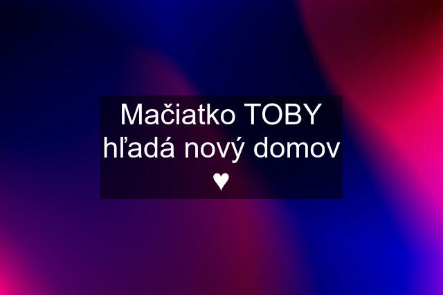 Mačiatko TOBY hľadá nový domov ♥