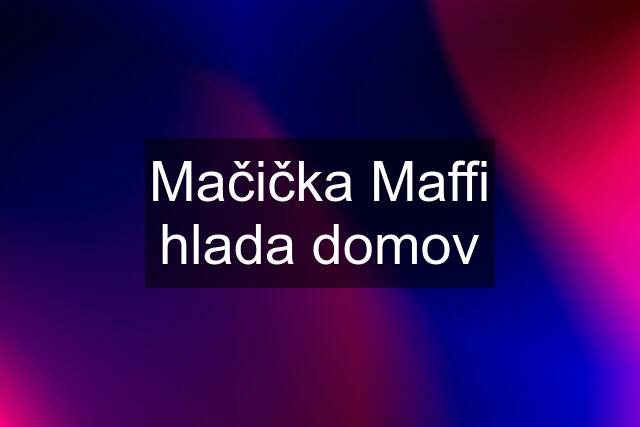 Mačička Maffi hlada domov