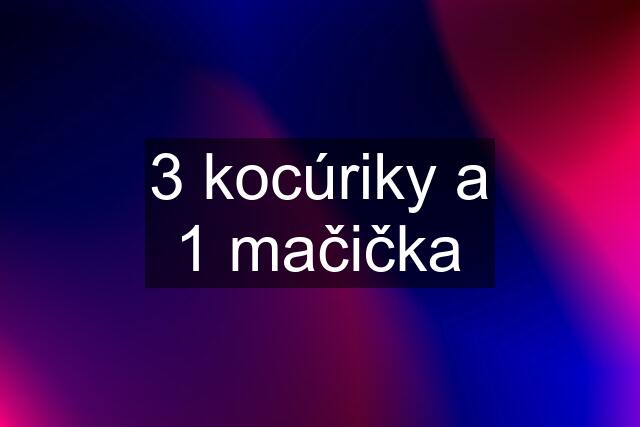 3 kocúriky a 1 mačička