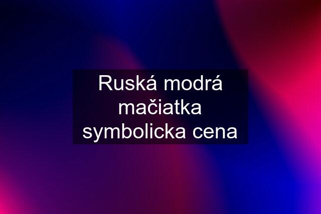 Ruská modrá mačiatka symbolicka cena