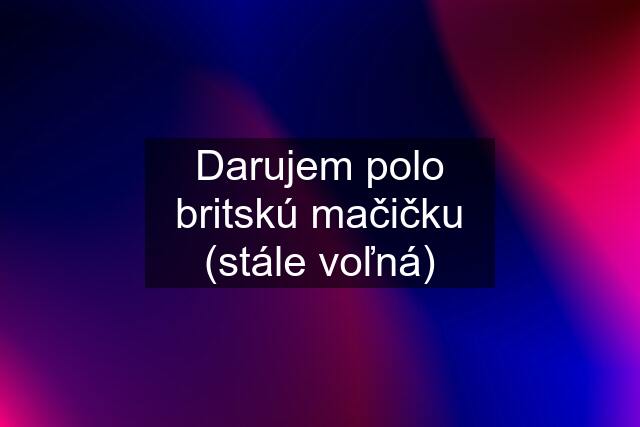 Darujem polo britskú mačičku (stále voľná)