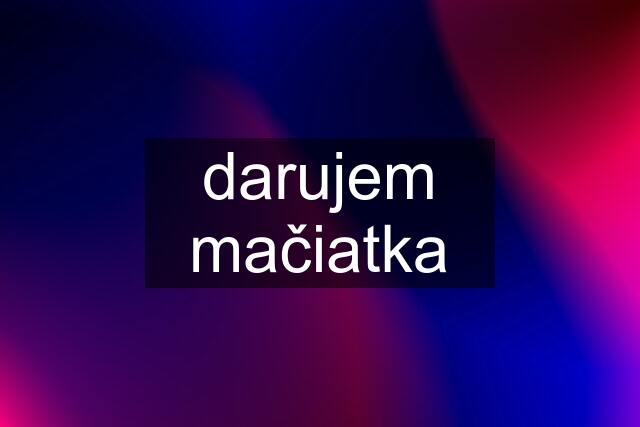 darujem mačiatka