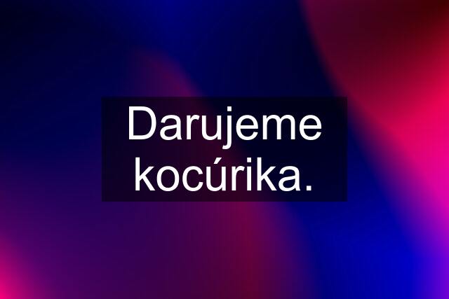 Darujeme kocúrika.