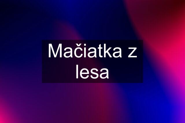 Mačiatka z lesa