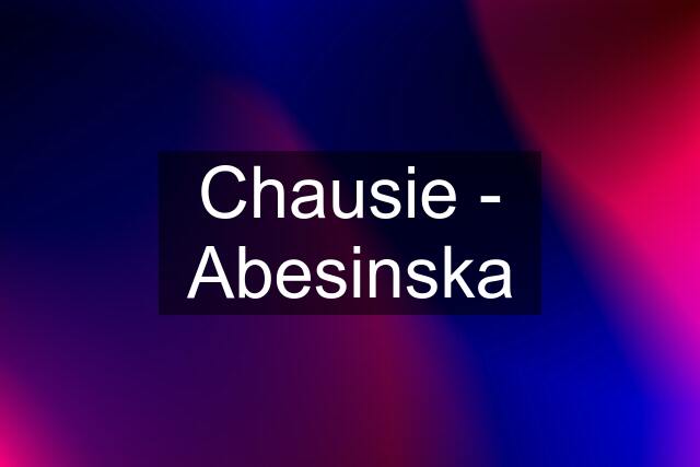 Chausie - Abesinska