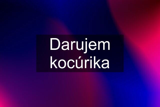 Darujem kocúrika