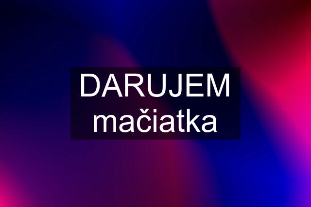 DARUJEM mačiatka