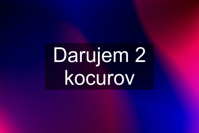 Darujem 2 kocurov