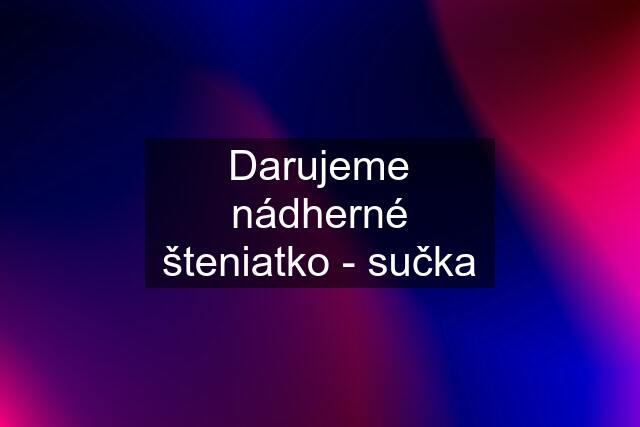 Darujeme nádherné šteniatko - sučka