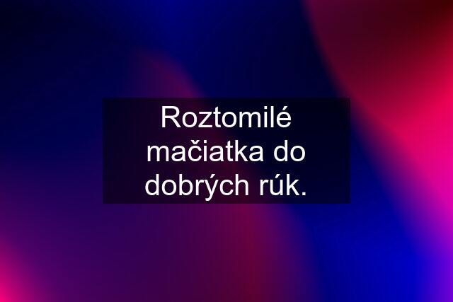 Roztomilé mačiatka do dobrých rúk.