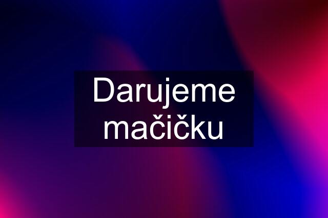 Darujeme mačičku