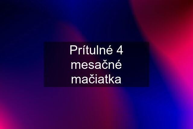 Prítulné 4 mesačné mačiatka