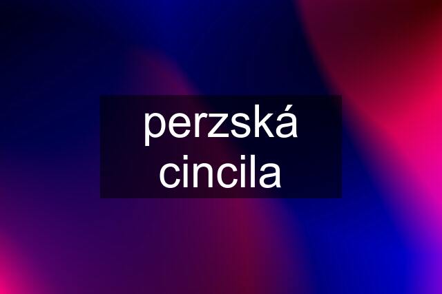 perzská cincila