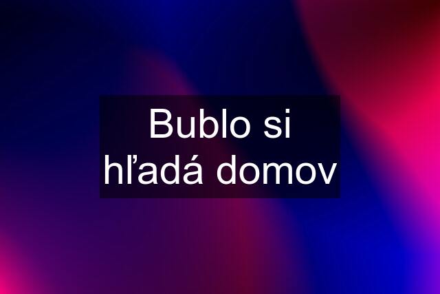 Bublo si hľadá domov