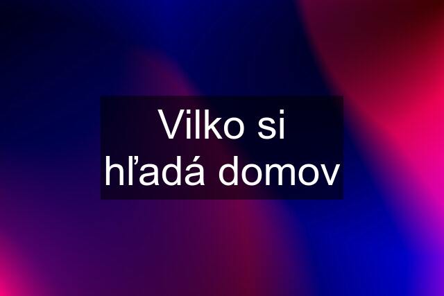 Vilko si hľadá domov