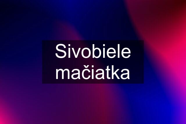 Sivobiele mačiatka