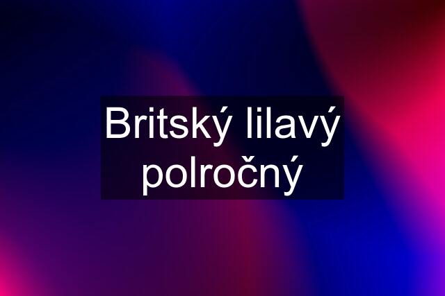 Britský lilavý polročný