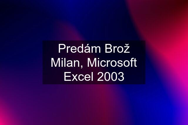 Predám Brož Milan, Microsoft Excel 2003