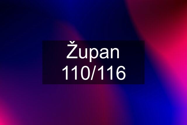 Župan 110/116