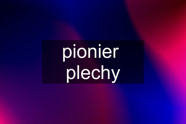 pionier  plechy