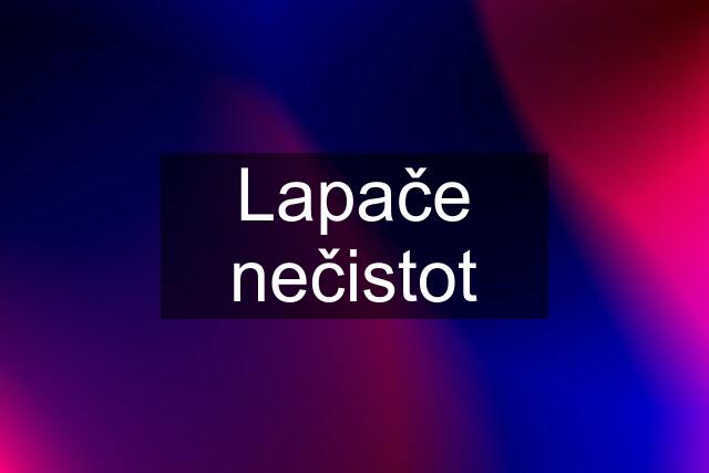 Lapače nečistot