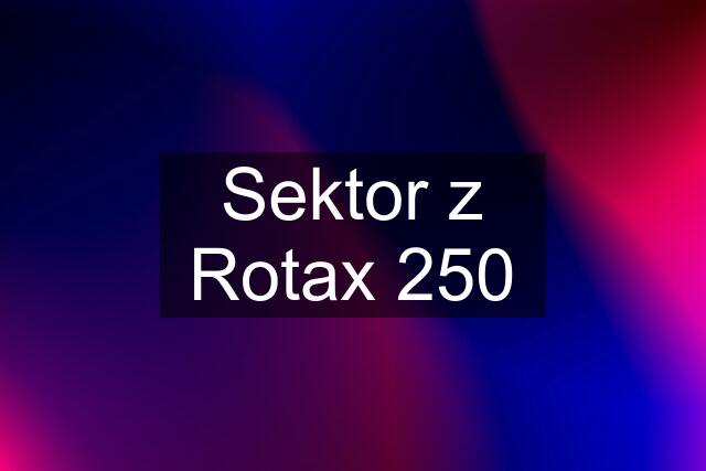 Sektor z Rotax 250