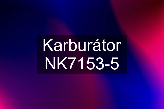 Karburátor NK7153-5