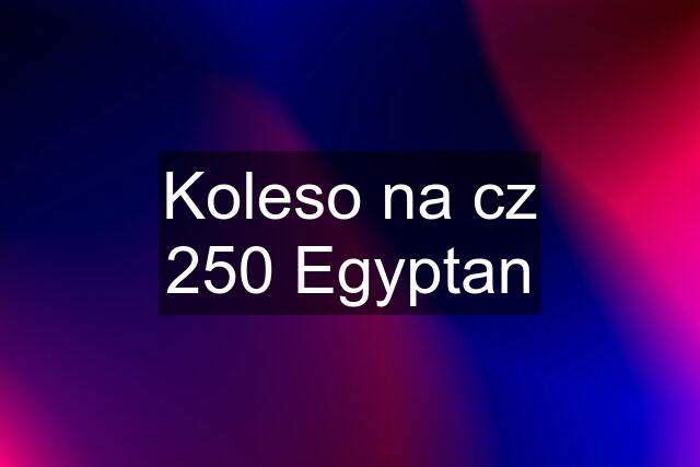 Koleso na cz 250 Egyptan