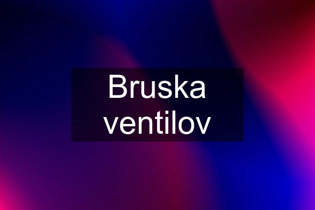 Bruska ventilov