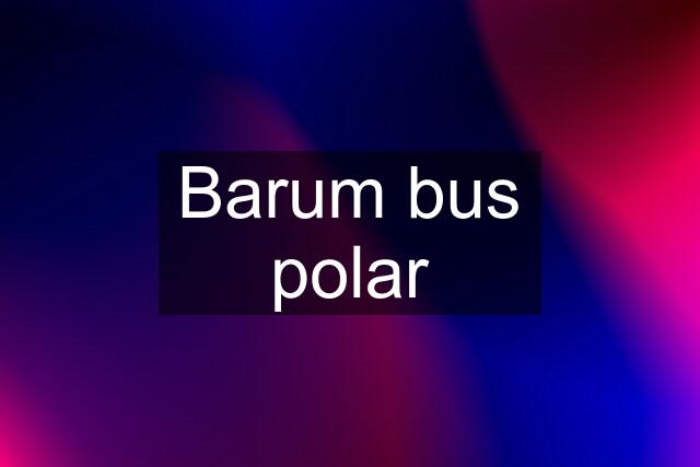 Barum bus polar