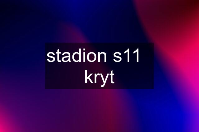 stadion s11   kryt