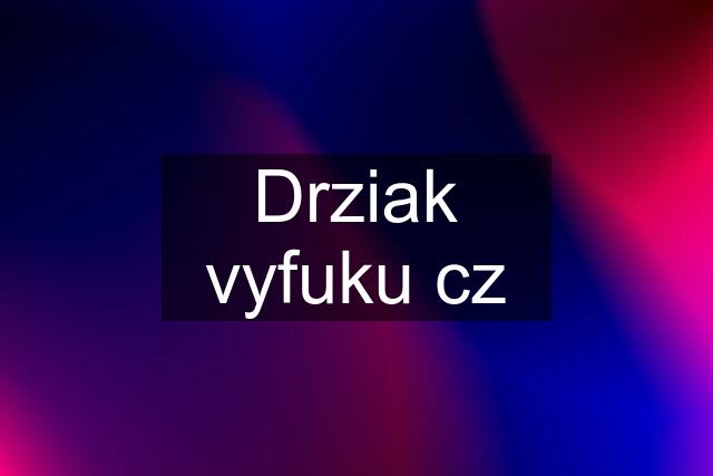 Drziak vyfuku cz