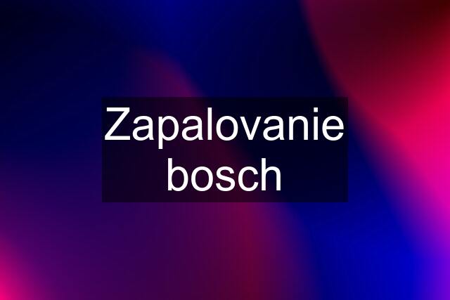 Zapalovanie bosch