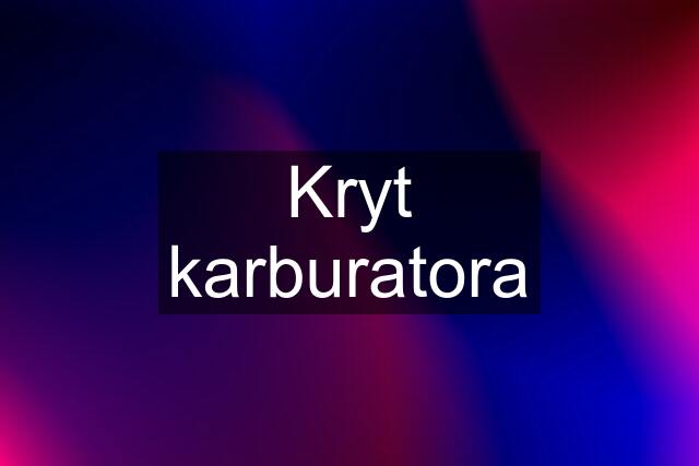 Kryt karburatora