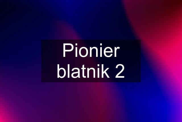 Pionier blatnik 2