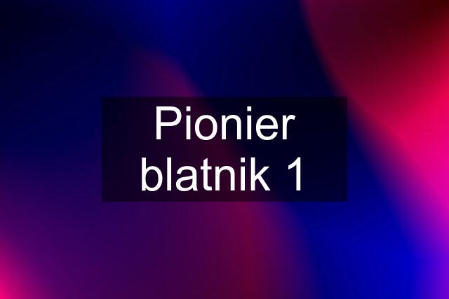 Pionier blatnik 1