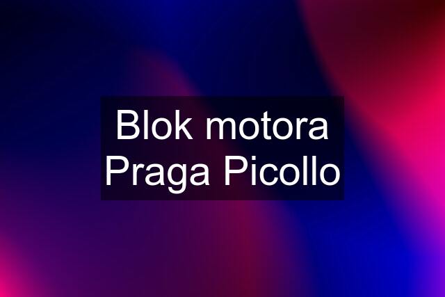 Blok motora Praga Picollo