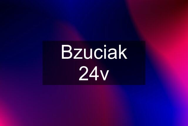 Bzuciak 24v