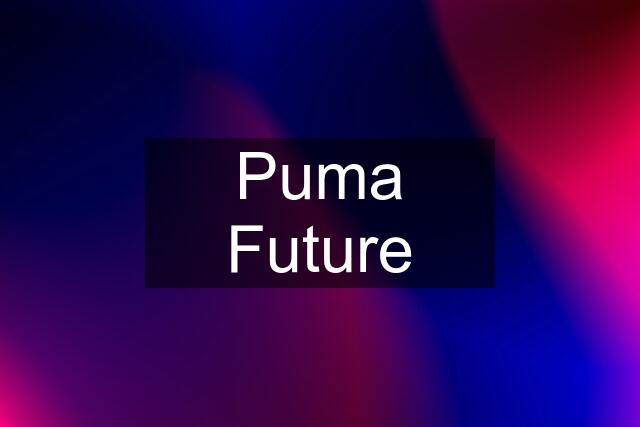 Puma Future